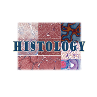 histology.gif