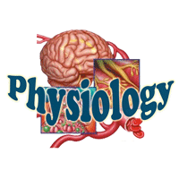 physiology.gif