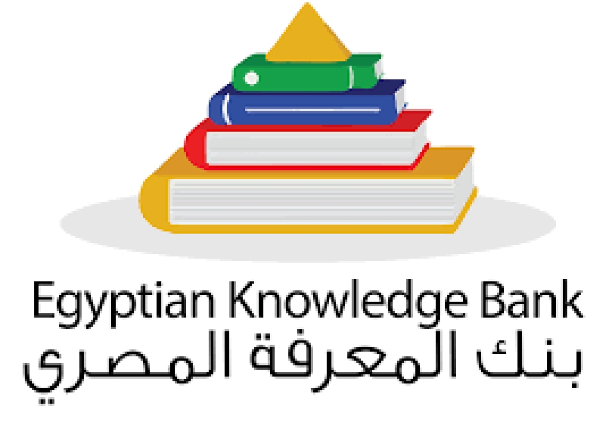 ورشة عمل بعنوان ( مصادر معلومات بنك المعرفة المصرى )